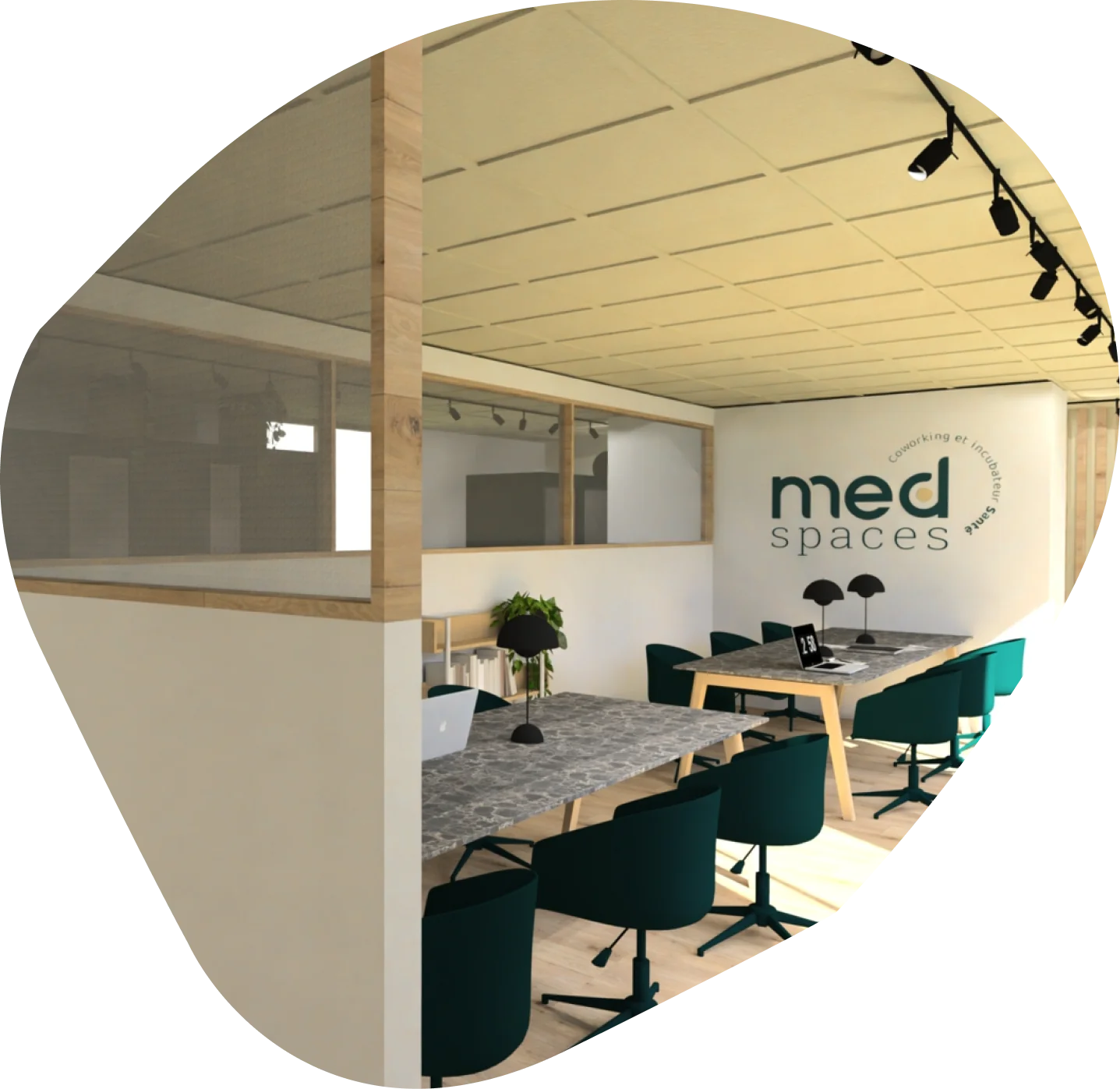 mees-photo2